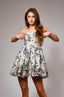 Toile Mini Dress